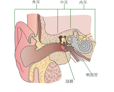 ����ҽ��̸�������������ԭ������