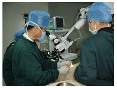 ���Զ�������Щ�Ϻõ�Ԥ��������